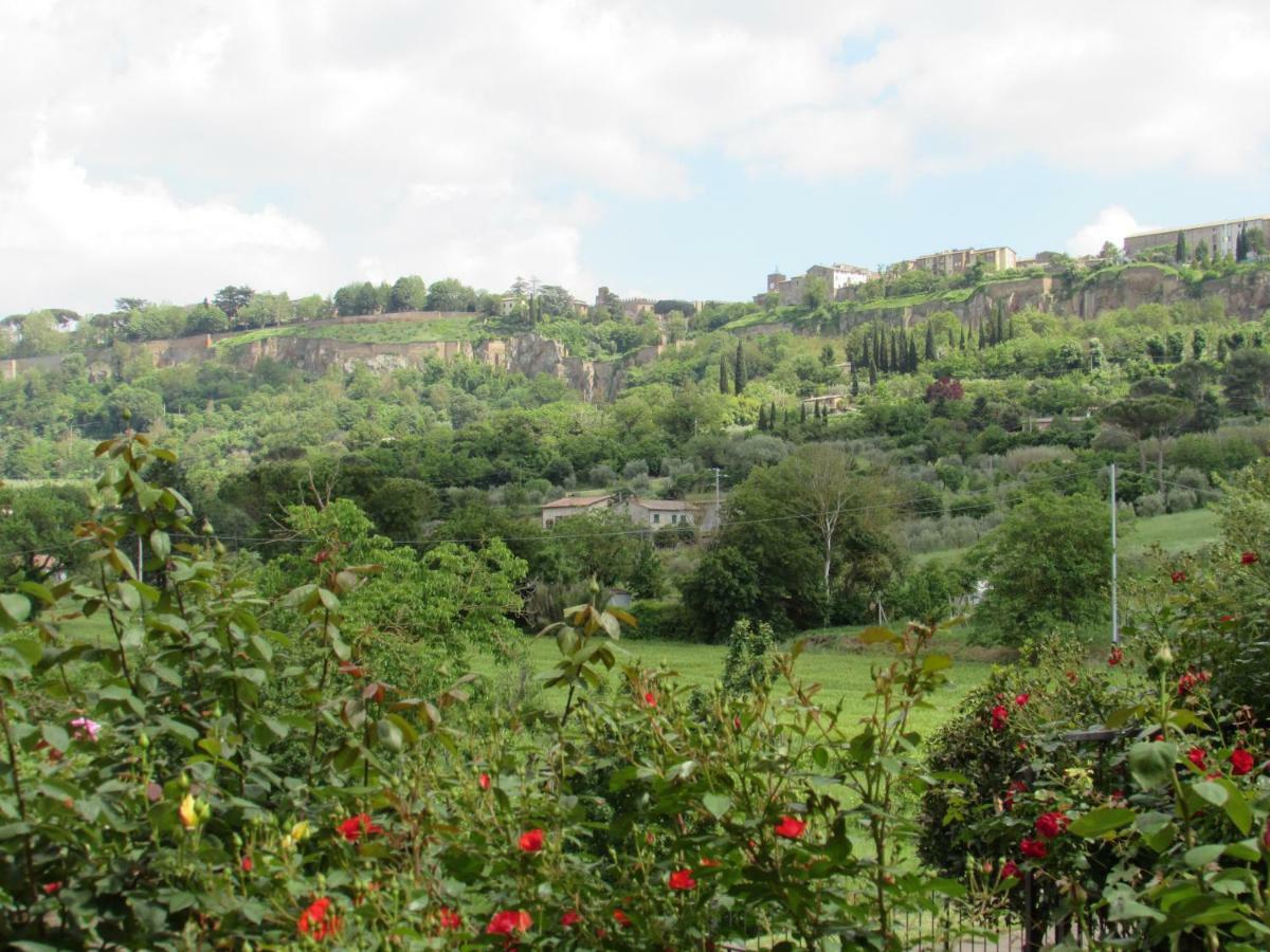Casa Angolo Delle Rose Orvieto Dış mekan fotoğraf